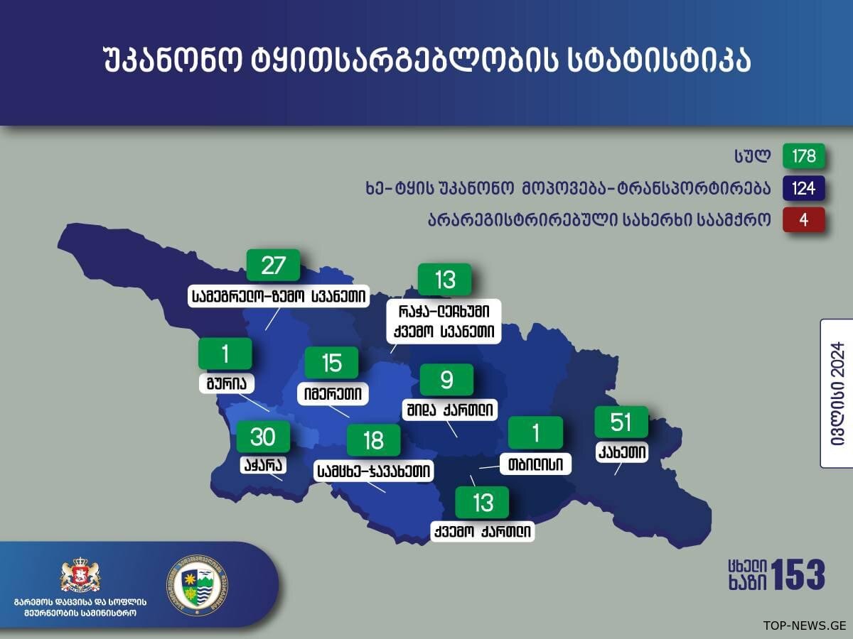 იმერეთში ხე-ტყით უკანონო სარგებლობის 15 ფაქტი გამოვლინდა