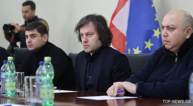 დიდთოვლობის შედეგად დაზიანებულ სახლებს სახელმწიფო აღადგენს
