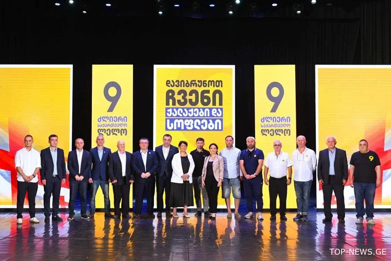 “ძლიერმა საქართველომ” იმერეთში მერობის კანდიდატები წარადგინა