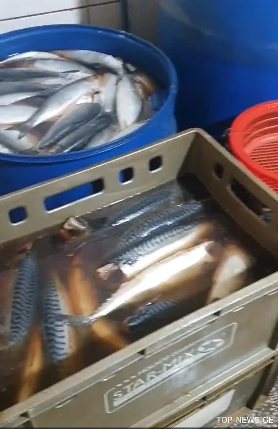 სურსათის ეროვნული სააგენტო თევზის საწარმოებს ამოწმებს