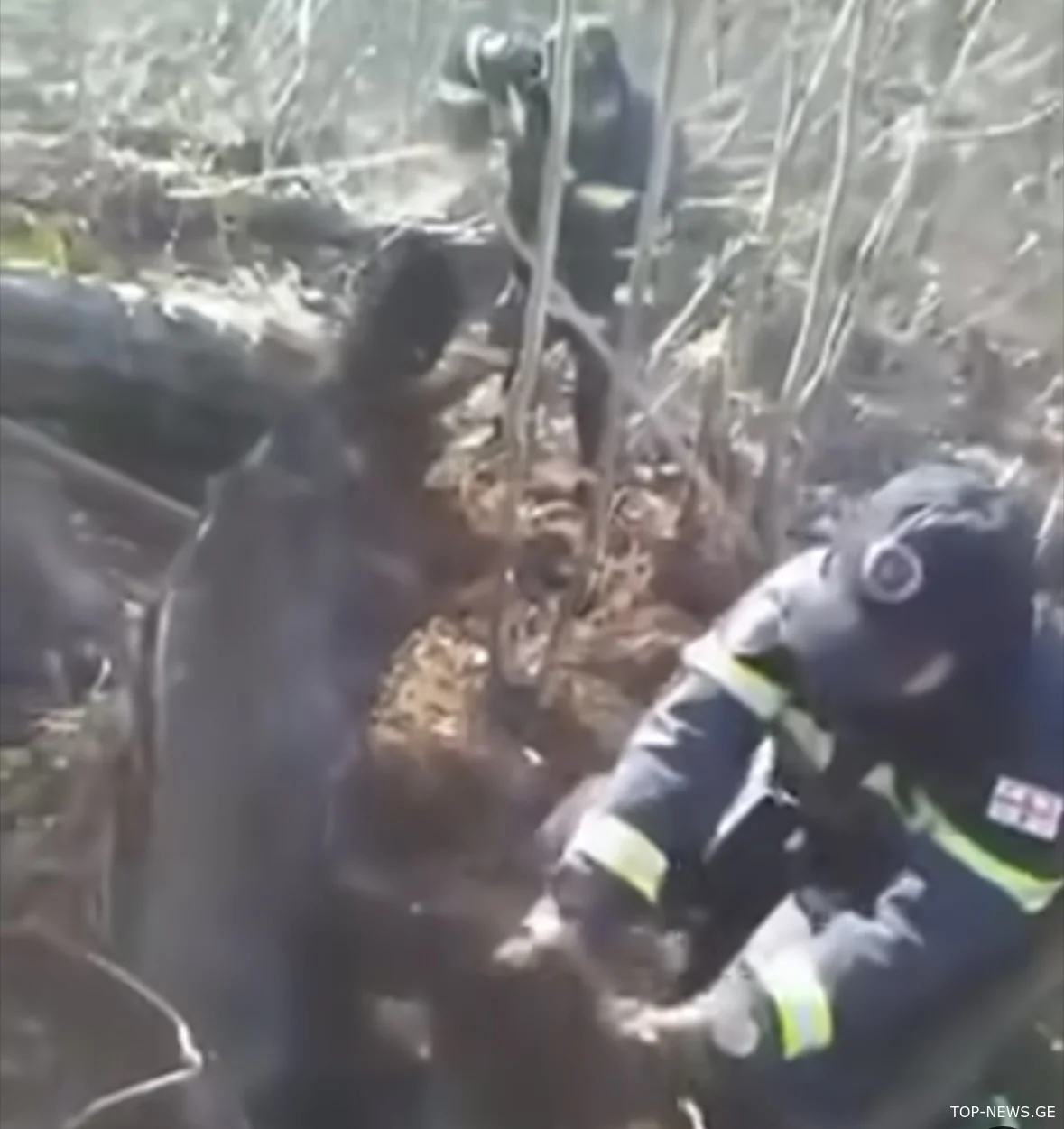 სოფელ ხანის ტყეში ხანძრის ლიკვიდაცია მიმდინარეობს