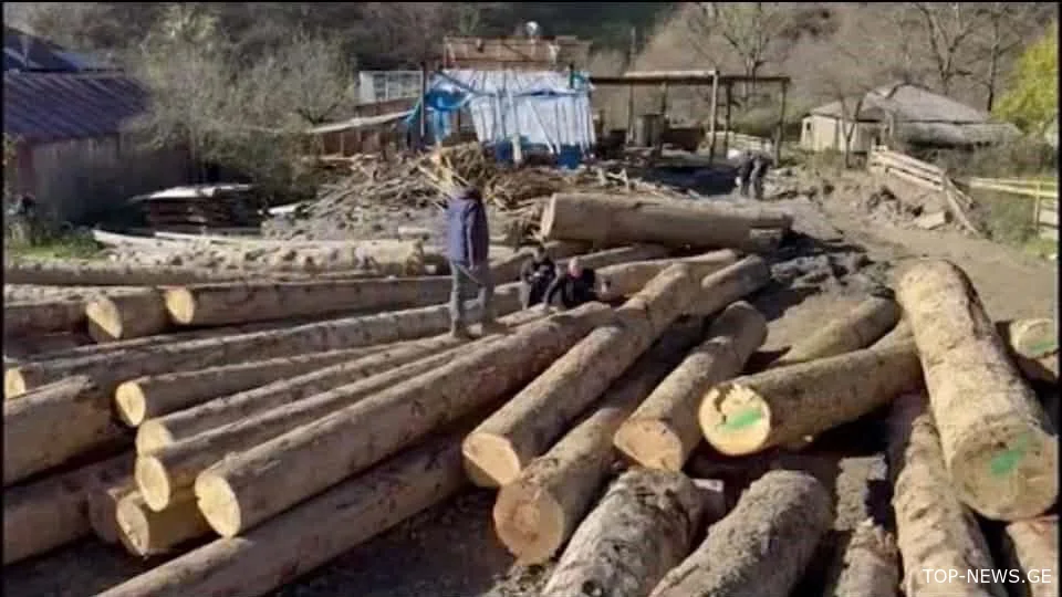 ამბროლაურის სოფელ ლიხეთში უკანონო სახერხი საამქრო აღმოაჩინეს