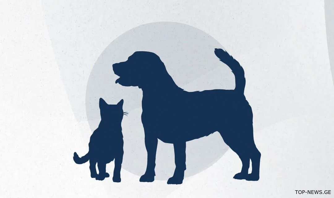 4772 ძაღლი/კატა ბუნებრივ არეალში დაბრუნდა