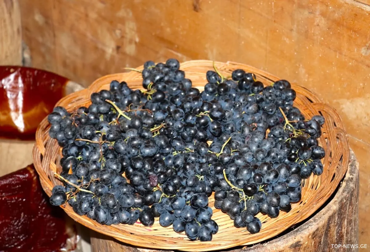 საქართველოში რეკორდული რაოდენობის ყურძენი გადამუშავდა