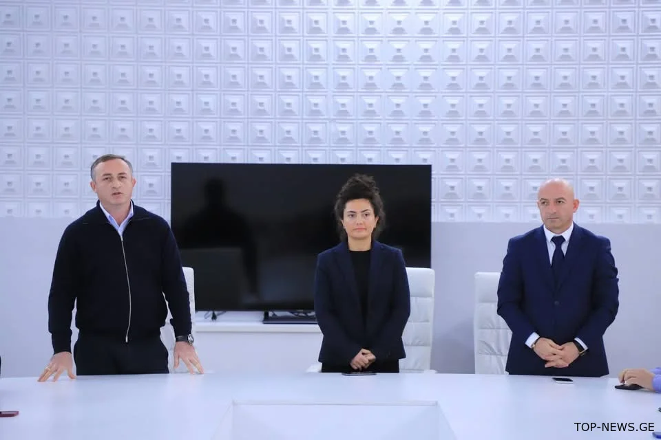 ვინ არიან და რა გამოცდილება აქვთ ზესტაფონის მერის ახალ მოადგილეებს?