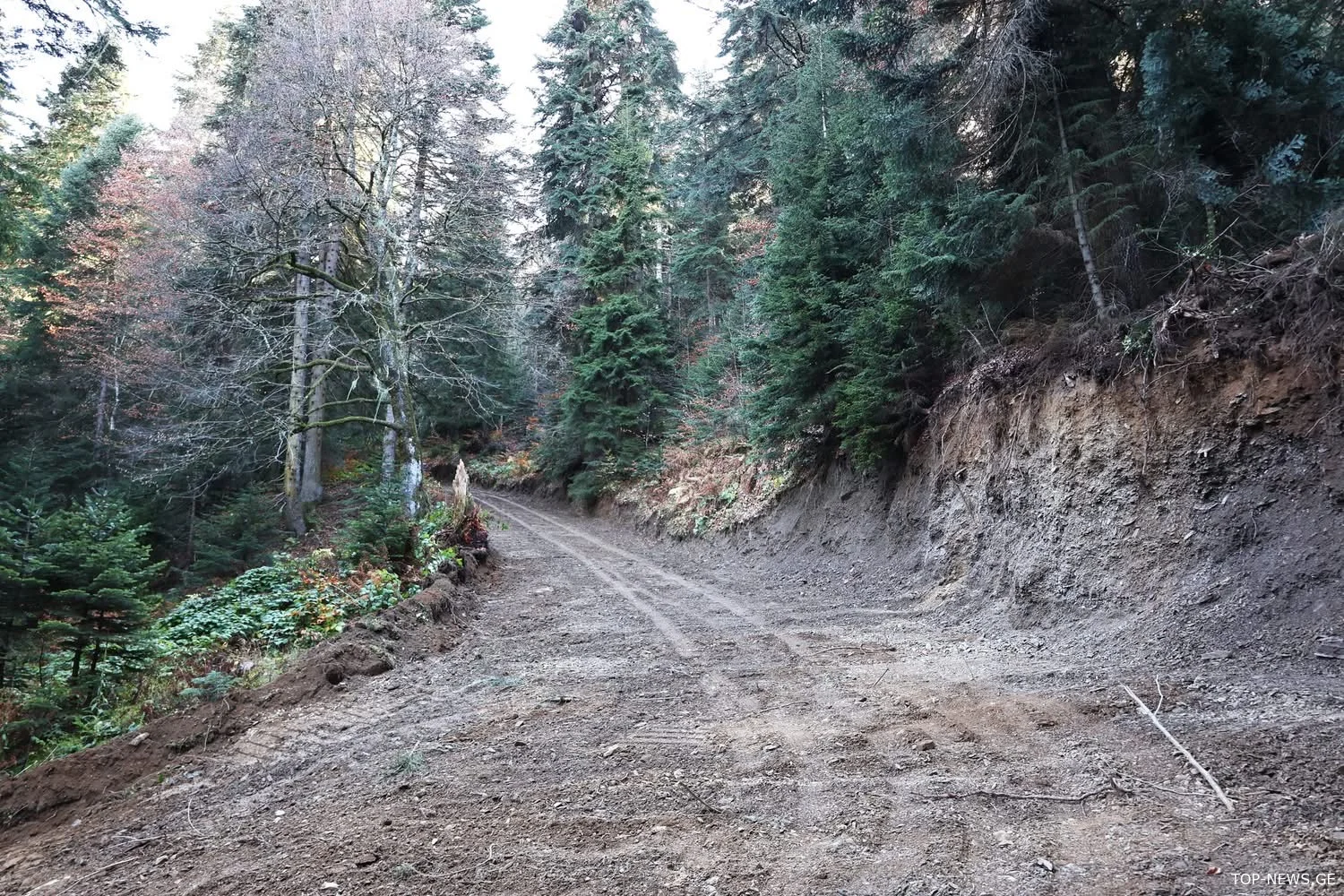 ლენტეხში კურორტ მუაშიდან მთა ზაგარომდე გზის აღდგენა-რეაბილიტაცია მიმდინარეობს