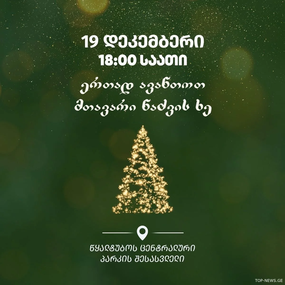 წყალტუბოში მთავარი ნაძვის ხე საზეიმოდ აინთება