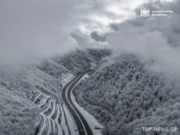 რიკოთზე გზა სრულად გაიხსნა