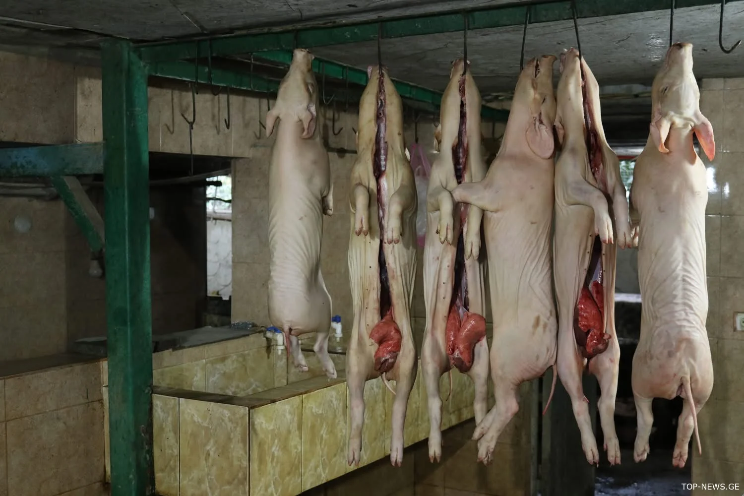 სურსათის ეროვნულმა სააგენტომ ქუთაისში არალეგალური სასაკლაო გამოავლინა