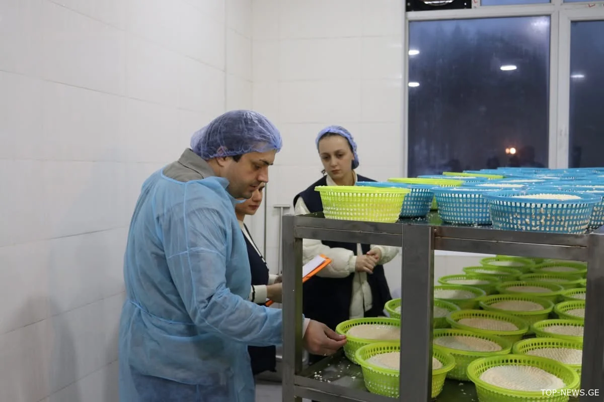 იმერეთში ყველის არალეგალური საწარმოები გამოავლინეს