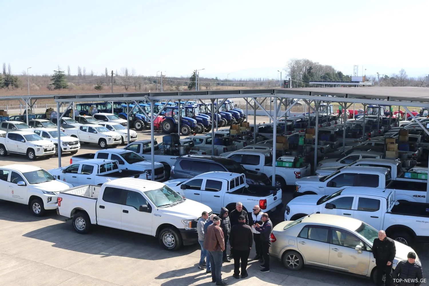 აზიური ფაროსანას წინააღმდეგ ბრძოლა იწყება