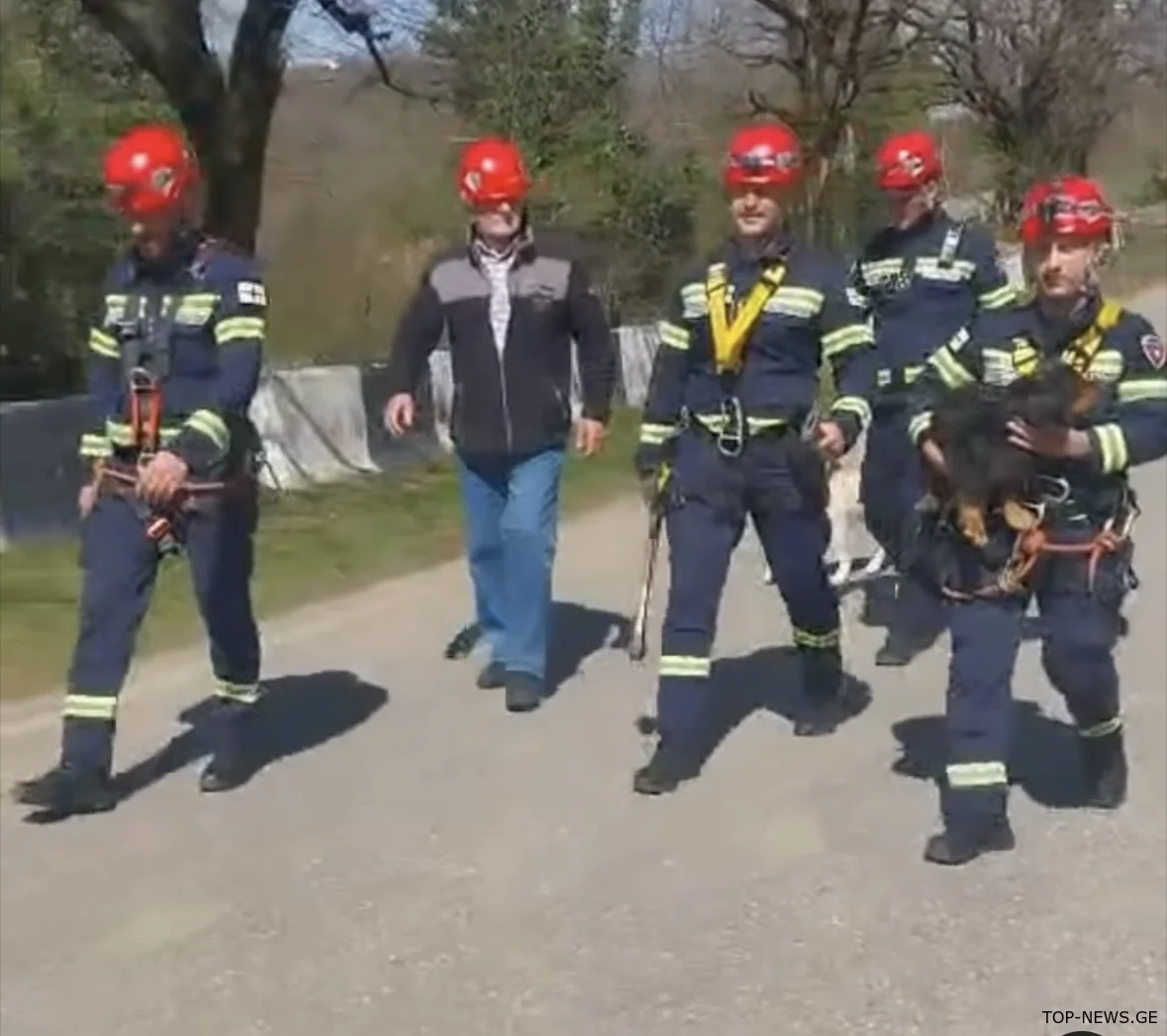 კურსების მეწყრული ზონიდან ცხოველები გამოიყვანეს