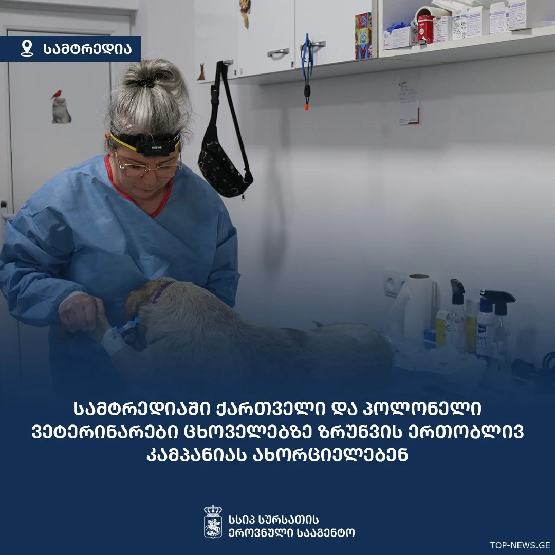 18-24 აპრილს, სამტრედიაში 500-მდე კატასა და ძაღლს ჩაუტარდება სტერილიზაცია-კასტრაცია