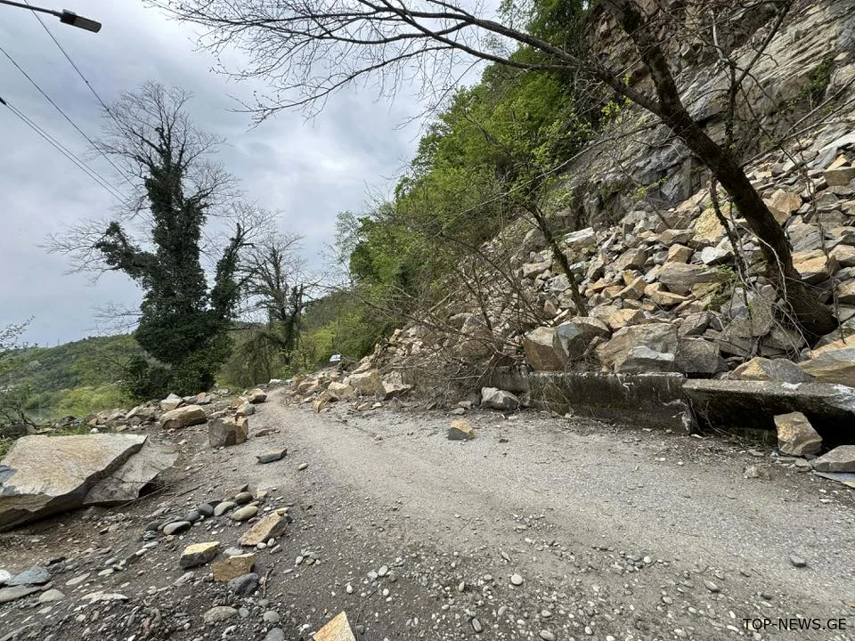 ქუთაისში, მწვანეყვავილას უბანში მცხოვრები მოსახლეობა დახმარებას ითხოვს