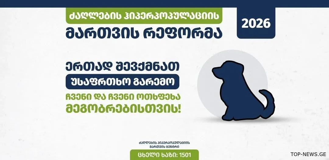 სურსათის ეროვნული სააგენტო ძაღლების მეპატრონეებს მიმართავს