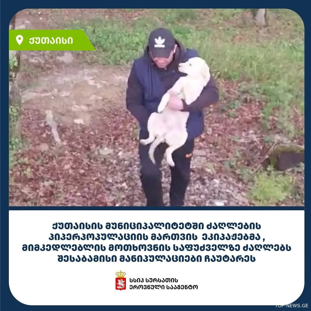 ცხოველების ნაწილს ქუთაისში მანიპულაციები ჩაუტარდა